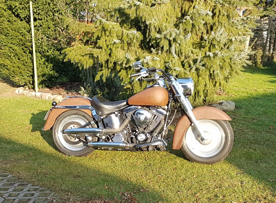 Seitenansicht einer Harley Davidson im Ratlook-Design mit Rostoptik